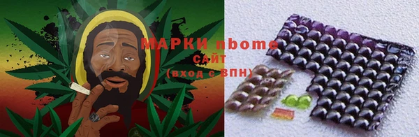 бошки Няндома