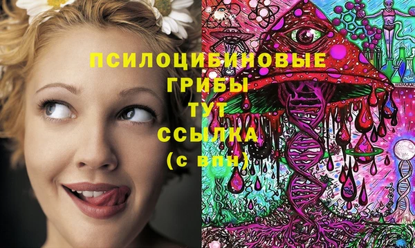 хмурый Армянск