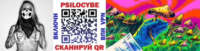 Галлюциногенные грибы мицелий  Пустошка 